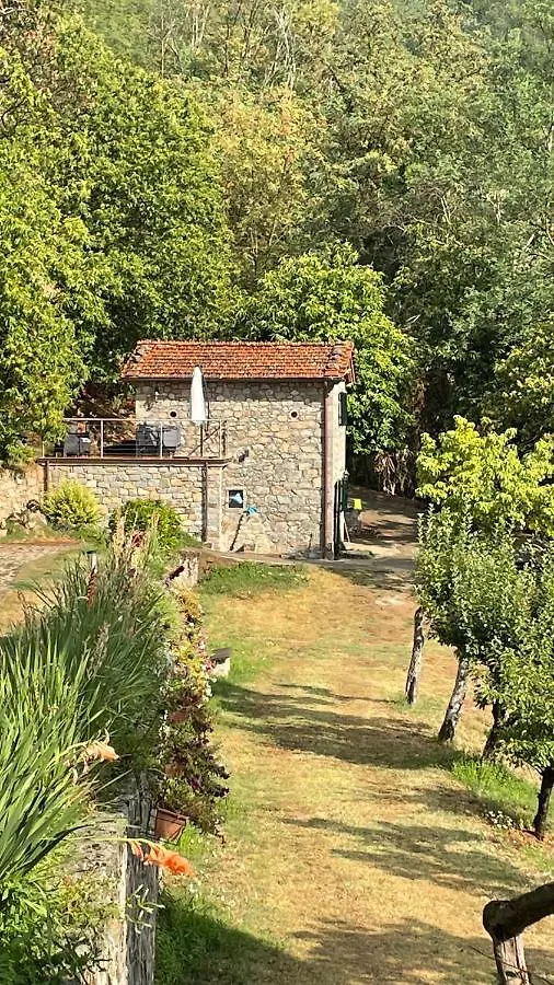Holiday home Metato Con Piscina E Giardino Villa Casabasciana